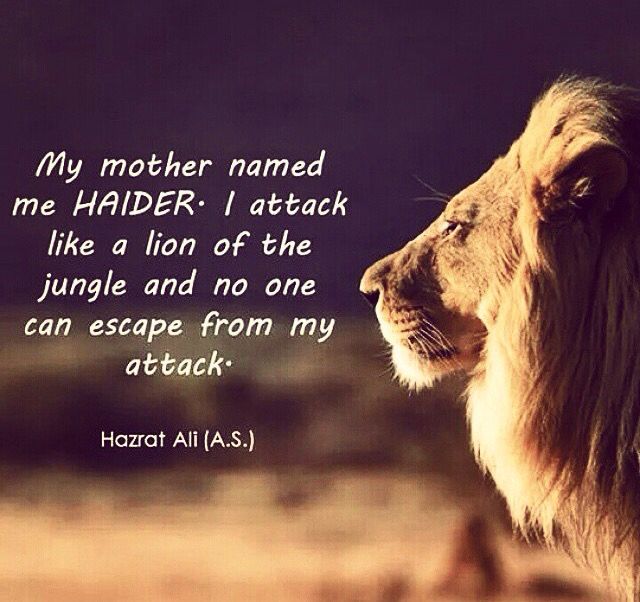 imsaadsaleem's tweet photo. The famous words of Hazrat Ali(R.A) to Marhab in the Battle of Khaybar: I am the one who was named HAIDER by his mother. I attack like a lion of the valley and no one can escape from my attack!

#شہادتِ_امیرالمومنین_امام_علیؑ 
#فزت_ورب_الكعبه #علي_بن_أبي_طالب 
#ImamAli https://t.co/mSQcD7oIrf
