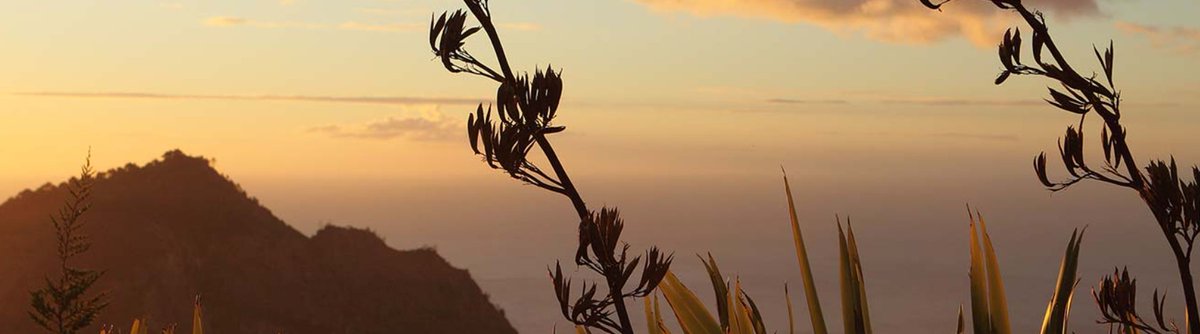 New Zealand Disability Support Network - NZDSN tweet media