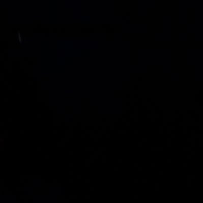 Garamba's tweet image. #NovaFotoDePerfil