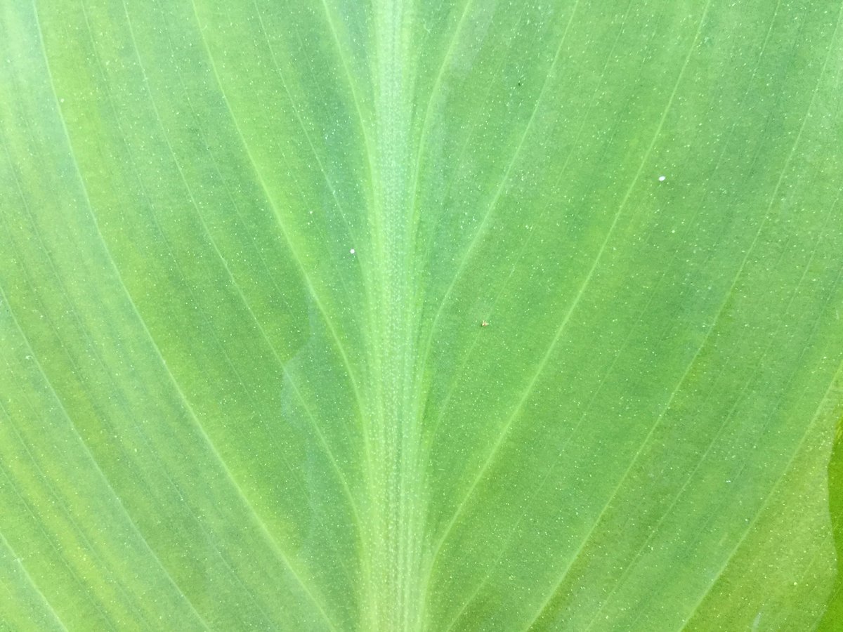 Amber Evans tweet media