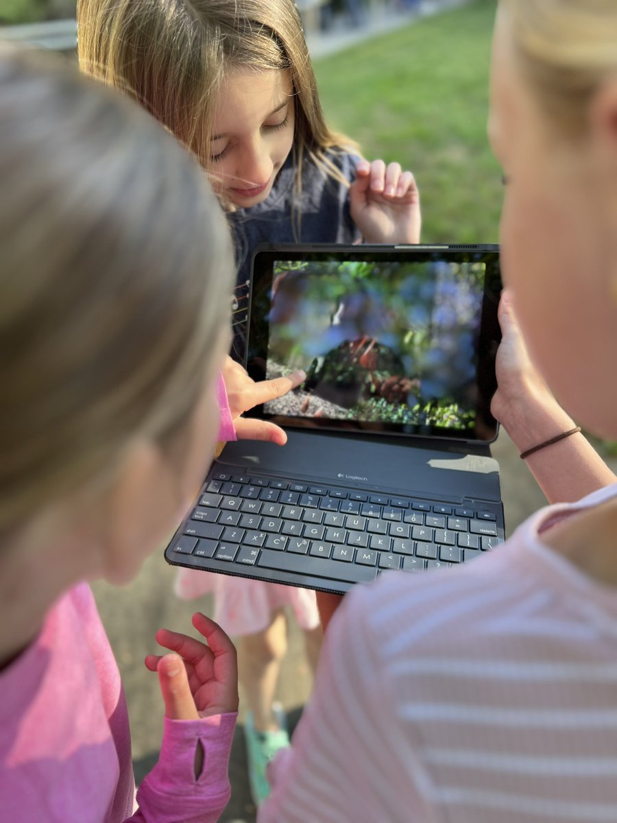 Amber Evans tweet media