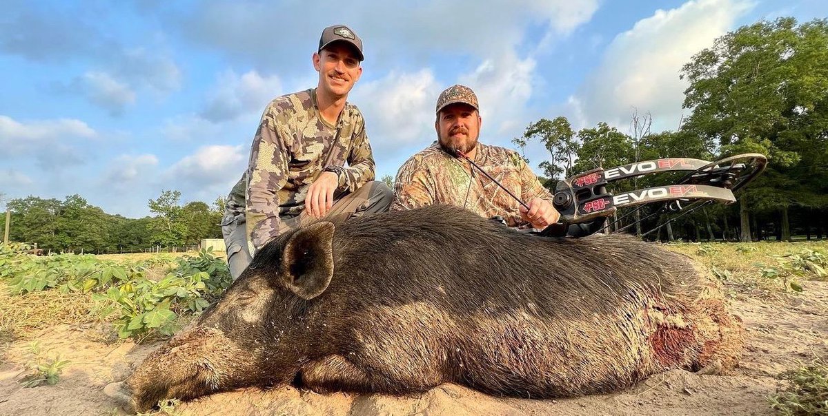 Oink oink!
#PSEnation #PSEarchery #PSEbows