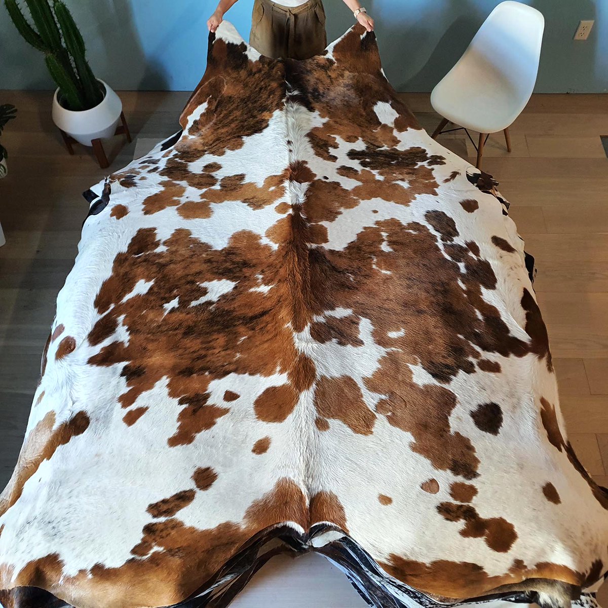 eCowhides's tweet photo. $399 - Natural Tricolor Cowhide Rug Size X Large 9818

https://t.co/cPKIvqfMe5

#luxurydesign #realcowhide #luxuryliving #cowhiderug #leather #ınterıordesingner #interior #brazilian #luxury #decor #homedecor #rugs #interior #interiordesign #homedecoration https://t.co/2NiZA9TVW5