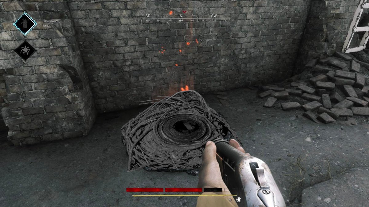 Funny fox eat a coffee tweet media