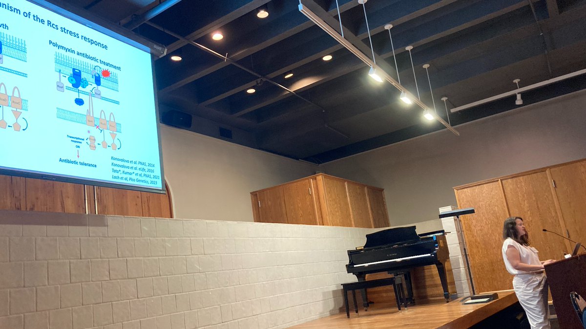 TheWalkerLab tweet media