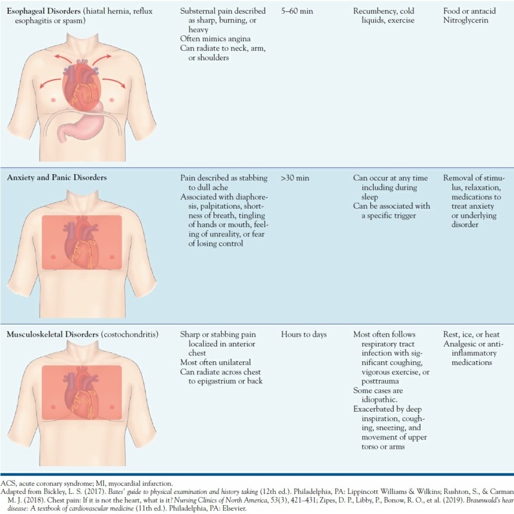 ماجد الحريبي صيدلي on Twitter "Assessing Chest Pain🥰👇"