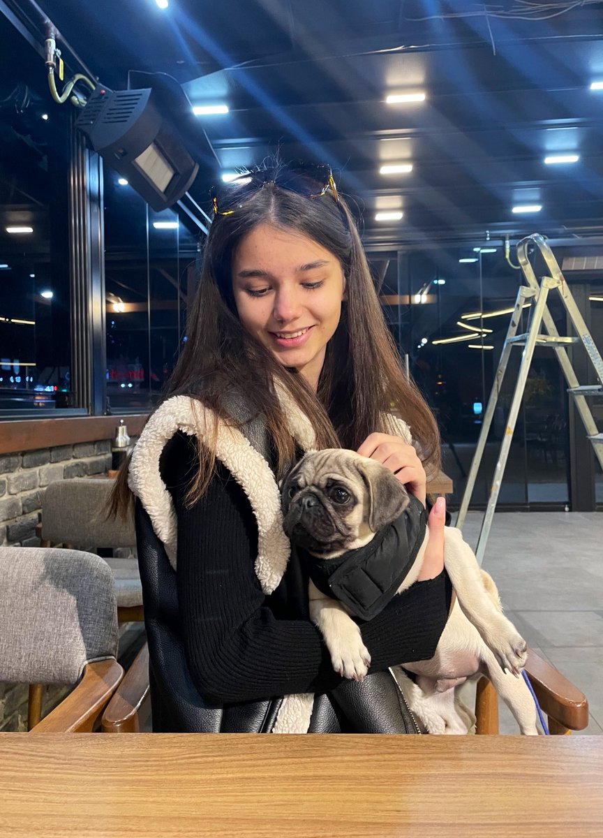 MARIIAM1T's tweet photo. little dogs are cute, but children are not always 😅🤐
#dog #cute #beautiful #relax #girl #blog #NFT https://t.co/V4F5G2VZVD