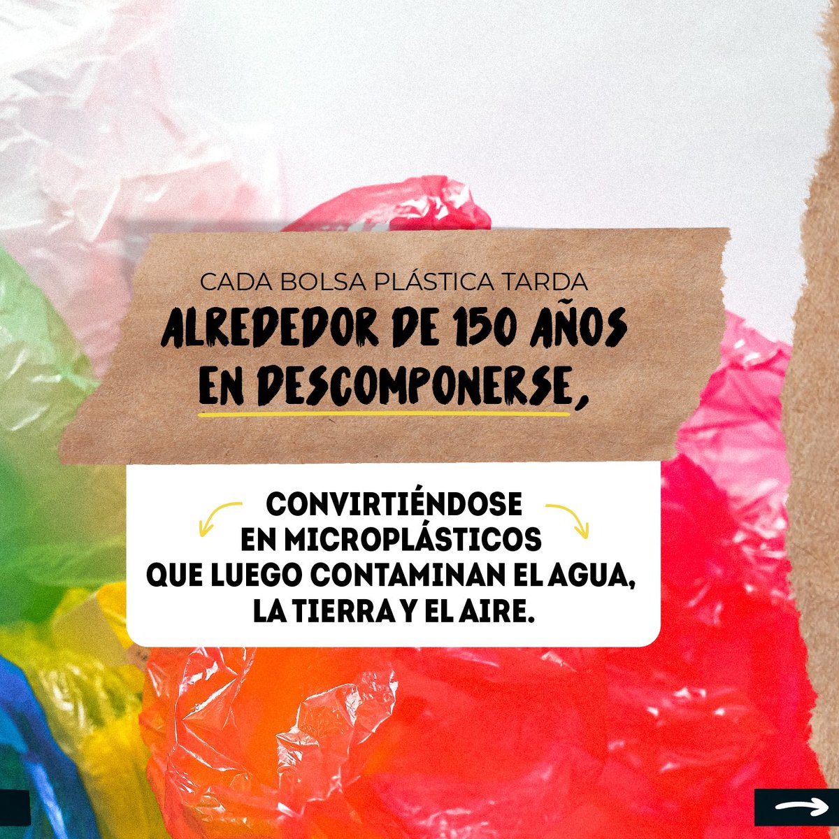 Dot_Baires's tweet photo. ¡Todas las personas podemos ayudar! ♻️ Podemos decir que esta edición del Bolsódromo fue un éxito y fue gracias a vos 💞 En total juntamos 705 bolsas de plástico y cartón en solamente 8 días evitando que un montón de residuos vayan al relleno sanitario.
¡Gracias por ser parte! https://t.co/xm6I2cJOOK