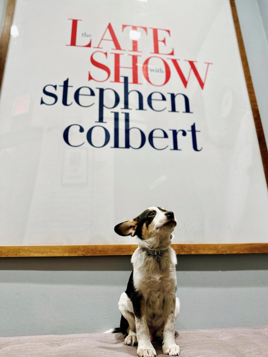 colbertlateshow tweet picture