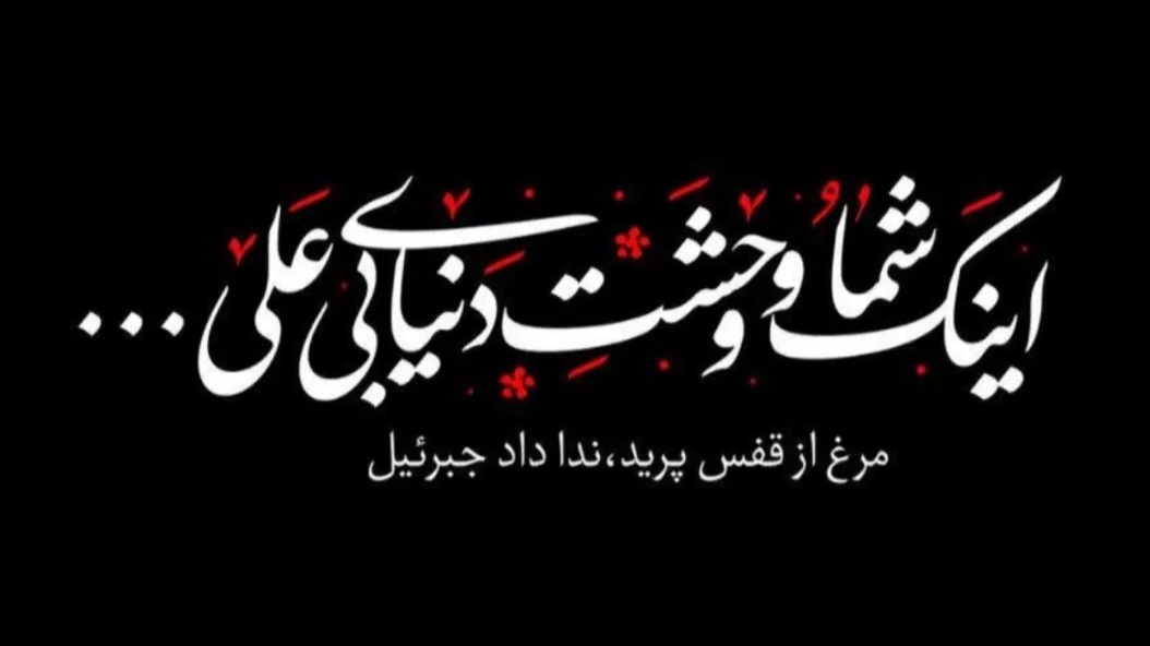 tb1983p's tweet photo. دنیای بی علی.....
#ليلة_القدر https://t.co/RKHECUDUSt
