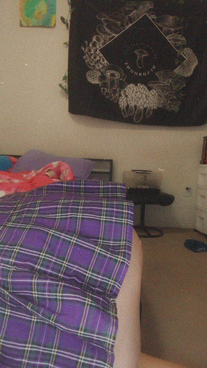 HoneyBeeDemon's tweet photo. Wanna see a better angle??? 
Get this post to 10 retweets <3 https://t.co/IGnKSrueGS