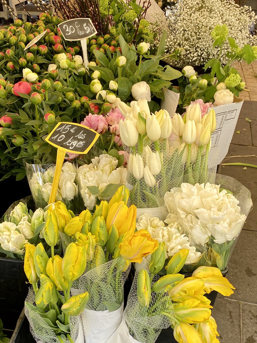 Riko0722's tweet photo. 逛尼斯的花市💐🌷🌹🌻 是世界上第一個買鮮切花的市集，始於1897年。春天太美了！

#flowersmarket #flowers #fleurs #printemps #spring #beautiful #life #joyful #鮮花市場 #市集 #花 #春天 #花市場 #お花 #春 #美しい #楽しい https://t.co/E2hE4E5w7l