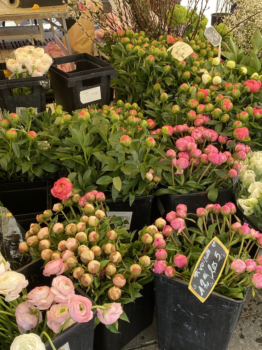 Riko0722's tweet photo. 逛尼斯的花市💐🌷🌹🌻 是世界上第一個買鮮切花的市集，始於1897年。春天太美了！

#flowersmarket #flowers #fleurs #printemps #spring #beautiful #life #joyful #鮮花市場 #市集 #花 #春天 #花市場 #お花 #春 #美しい #楽しい https://t.co/E2hE4E5w7l