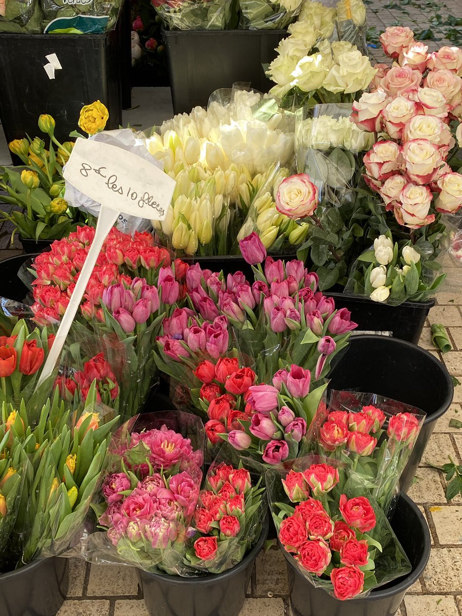 Riko0722's tweet photo. 逛尼斯的花市💐🌷🌹🌻 是世界上第一個買鮮切花的市集，始於1897年。春天太美了！

#flowersmarket #flowers #fleurs #printemps #spring #beautiful #life #joyful #鮮花市場 #市集 #花 #春天 #花市場 #お花 #春 #美しい #楽しい https://t.co/E2hE4E5w7l