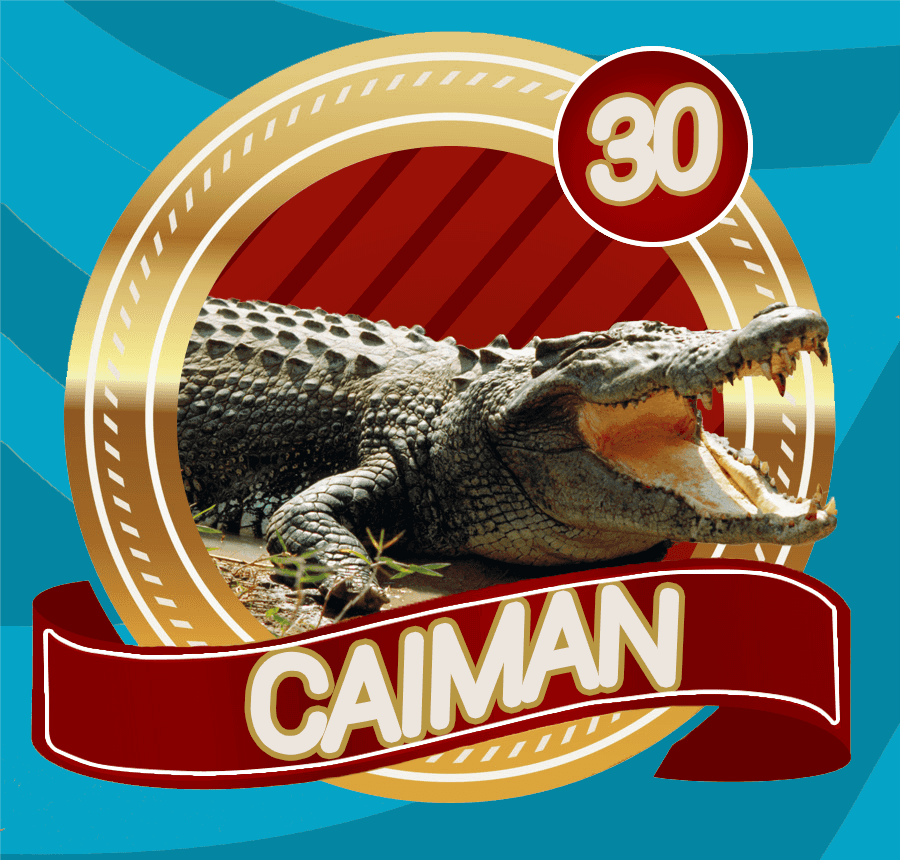 LottoVerde's tweet photo. LOTTO VERDE
SORTEO
11/04/2023
07:30 PM
30 CAIMÁN
@LottoVerde https://t.co/kA6kckaBtv
