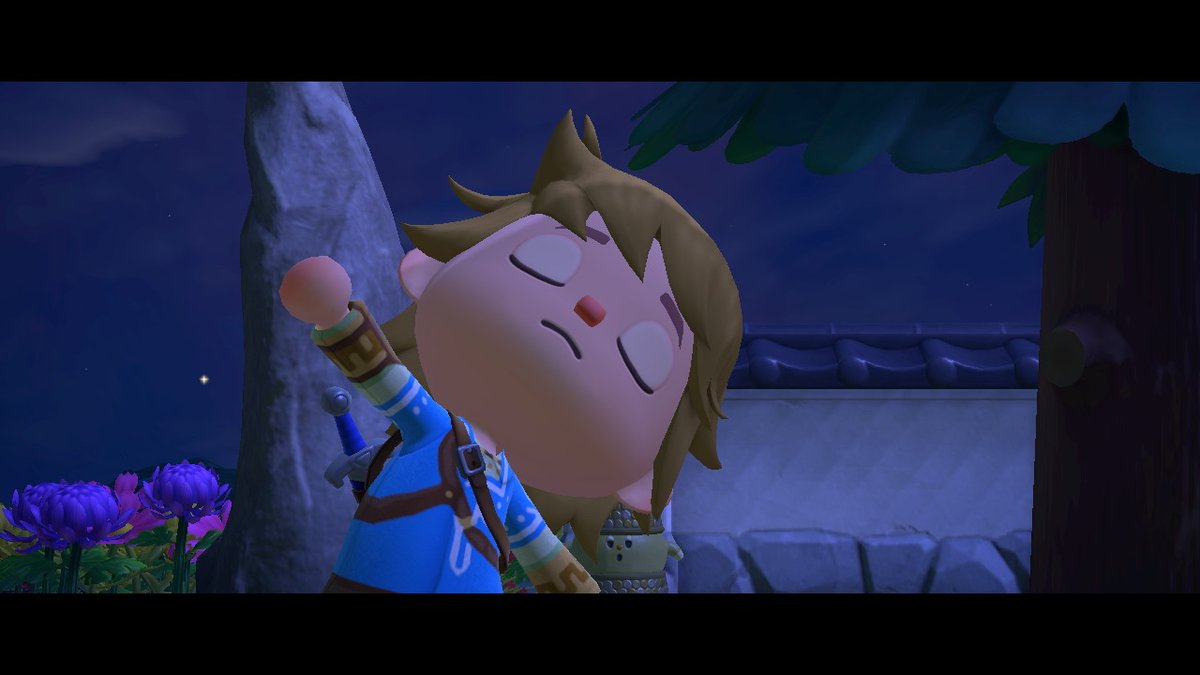 _Fran5_27's tweet photo. #AnimalCrossing #ACNH #NintendoSwitch #tloz https://t.co/vGONS2JzoR