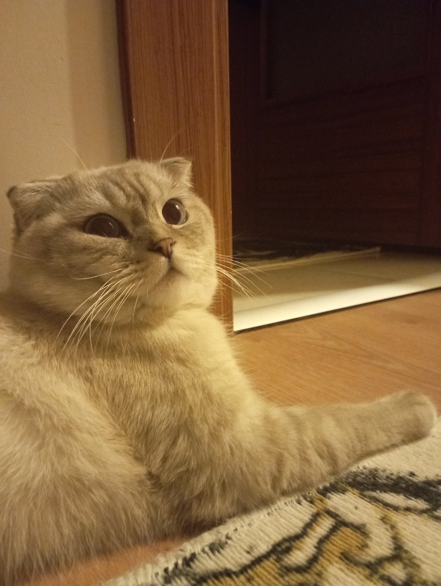 evrem202020's tweet photo. Yanakları görmesine engel oluyor artık hdldhdldndk https://t.co/mLf0Clh3lE