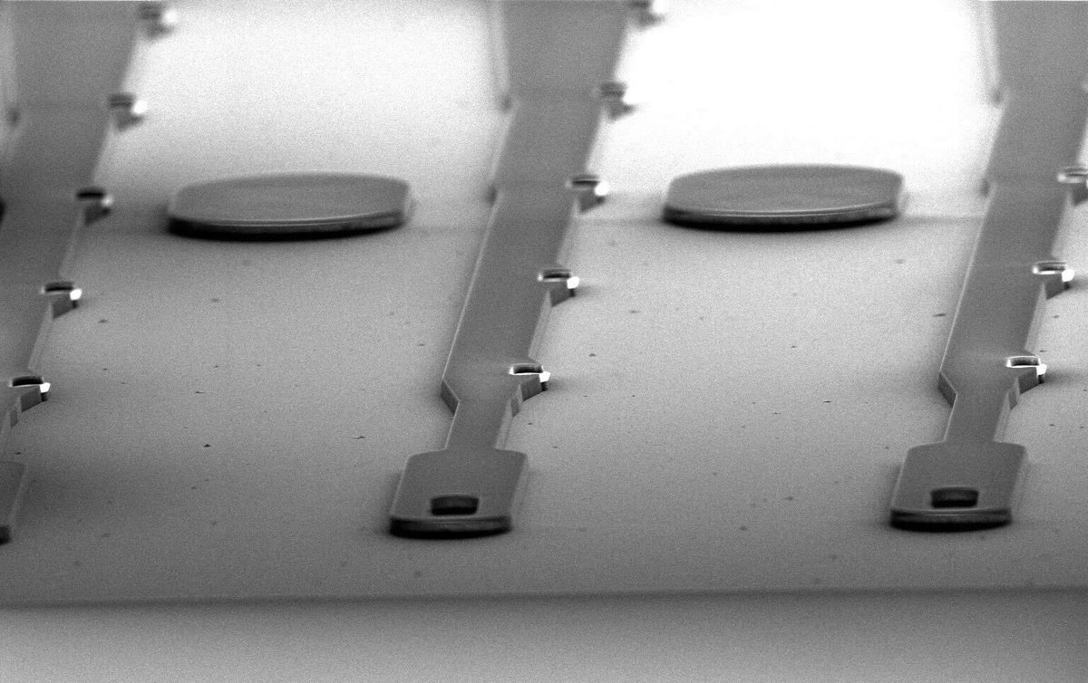 Neuralink tweet media