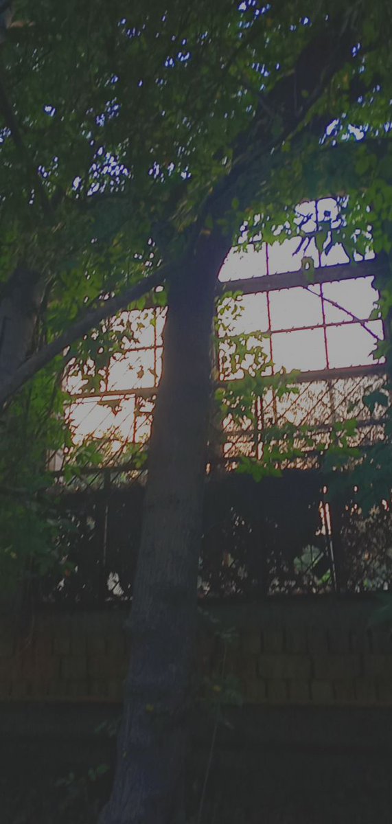 Ajdahasystem's tweet photo. Выложите фото какого-нибудь пейзажа с места, где вы были, главное требование — чтобы вы НЕ появлялись на нëм, только изображение без описания... https://t.co/O6KvrX1Bug