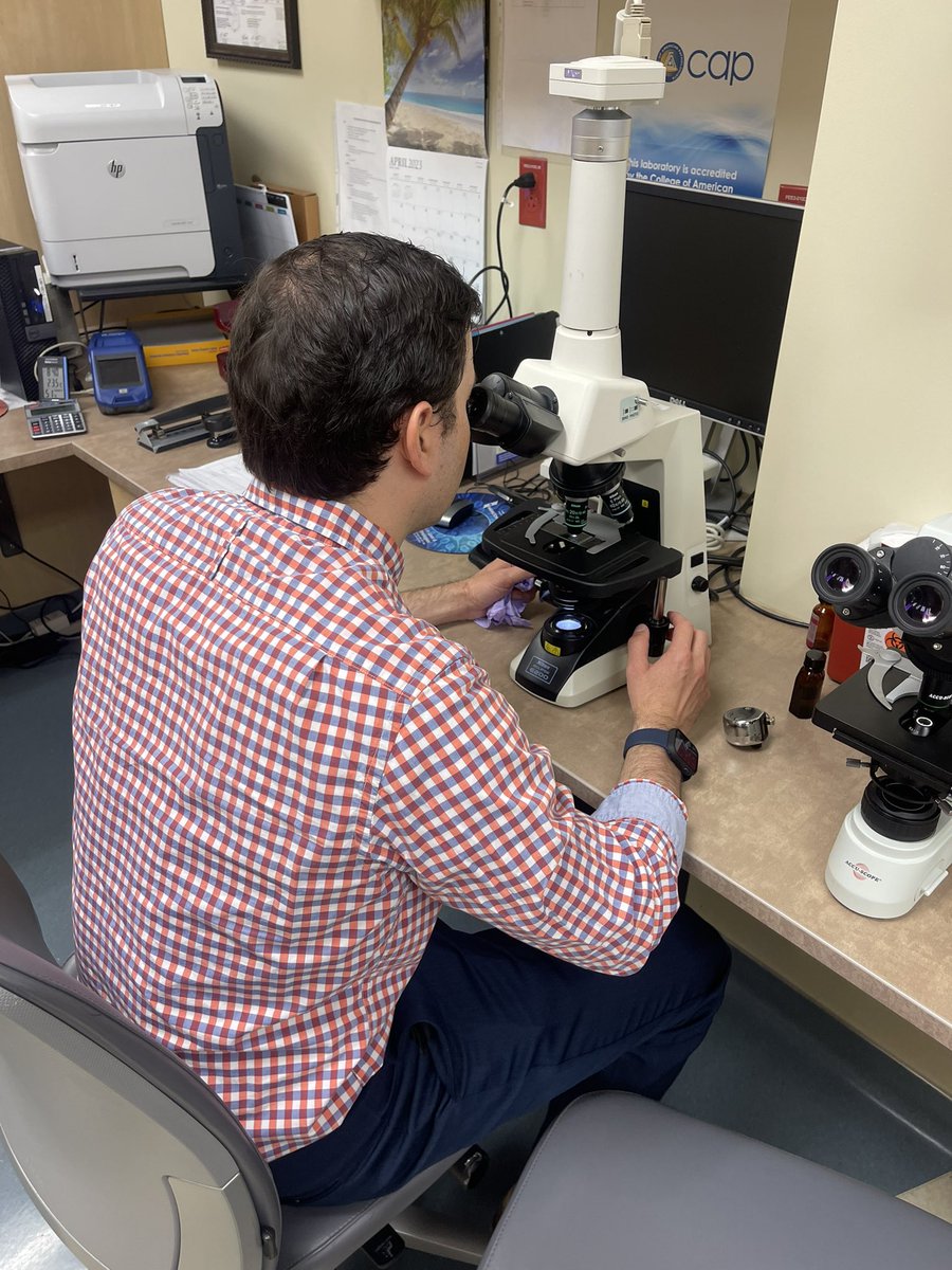 Chase Mallory tweet media