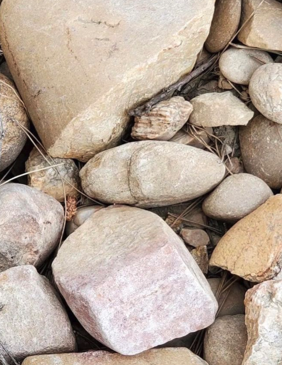 CellarAngels's tweet photo. Walking through the vineyards of Châteauneuf-du-Pape, you'll notice the smooth, rounded stones (galets roulés) that cover the ground. These ancient rocks are a hallmark of the region's winemaking history and contribute to the complex flavors of the wines #TravelTuesday #wine https://t.co/znHwcGSPSu