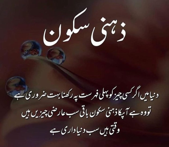 navaera_ch's tweet photo. اسلام علیکم!!
صبح بخیر زندگی🌸 https://t.co/y4exfyZY10