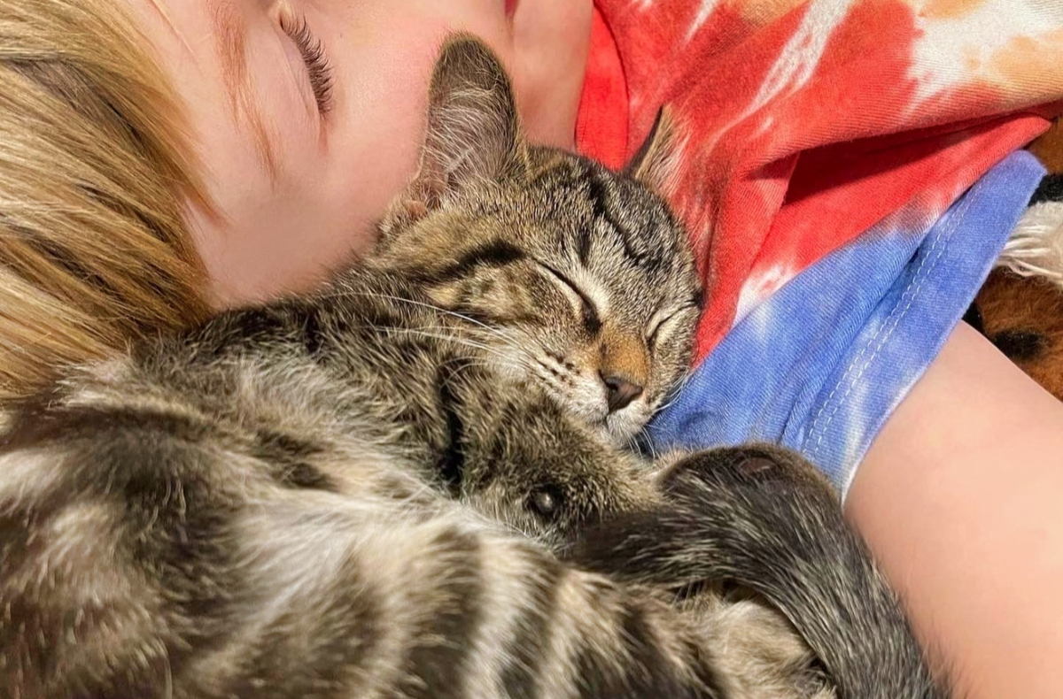 When Beck and his mom Kate met Frog, Beck looked up at his mom and said, "Mama, that's the one." 🥰

They adopted Frog and renamed the precious kitty Leopard. Beck and Leopard have been snuggled up ever since, and the rest, as they say, is history. ❤️ ^AT #NationalPetDay #adopt