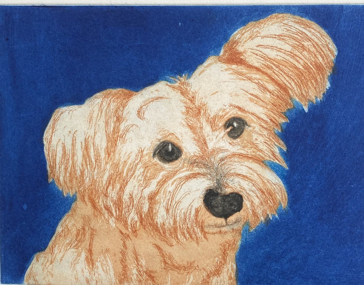 SoniaRollo's tweet photo. My little friend Louly #NationalPetDay .
Thanks to @AllDogsMatter https://t.co/wc0XuBXvl1