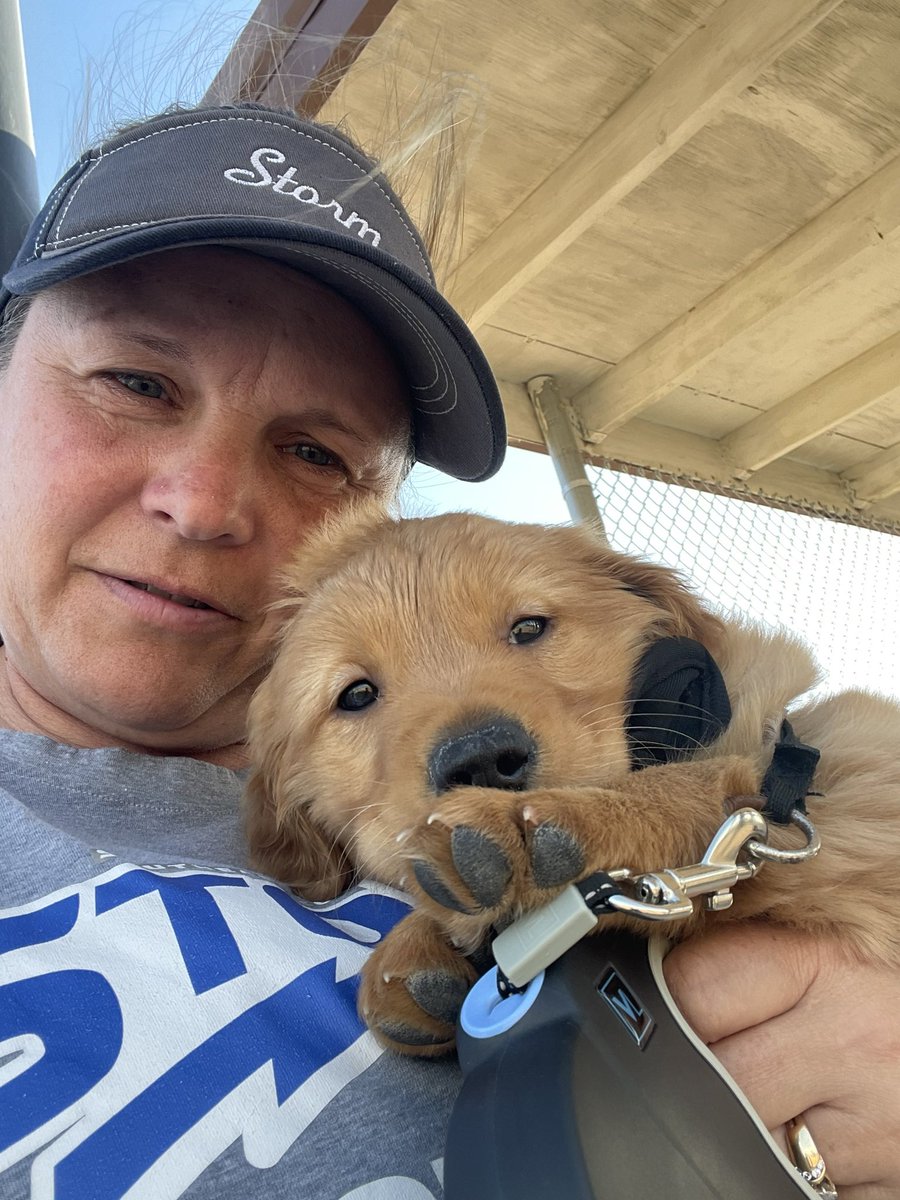 Southeast CC Softball tweet media