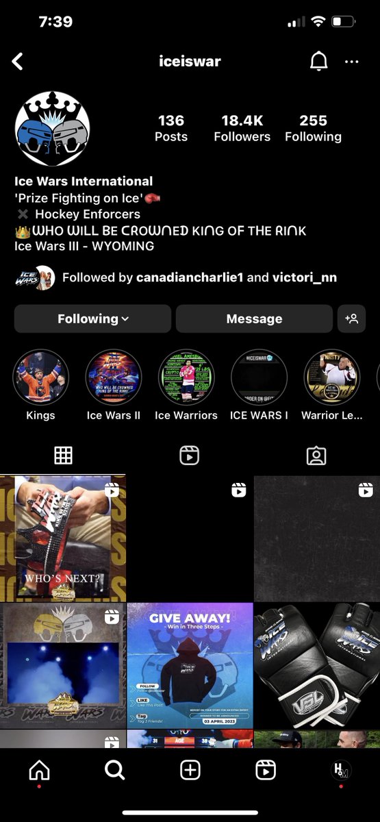 iceiswar tweet media