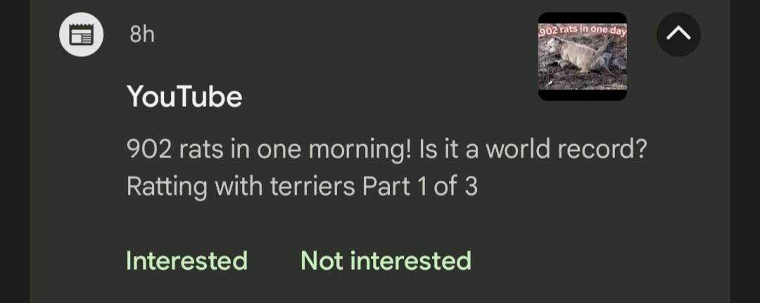 I love my doggy friends !! ! :DD i sure hope they dont hurt me at all :)