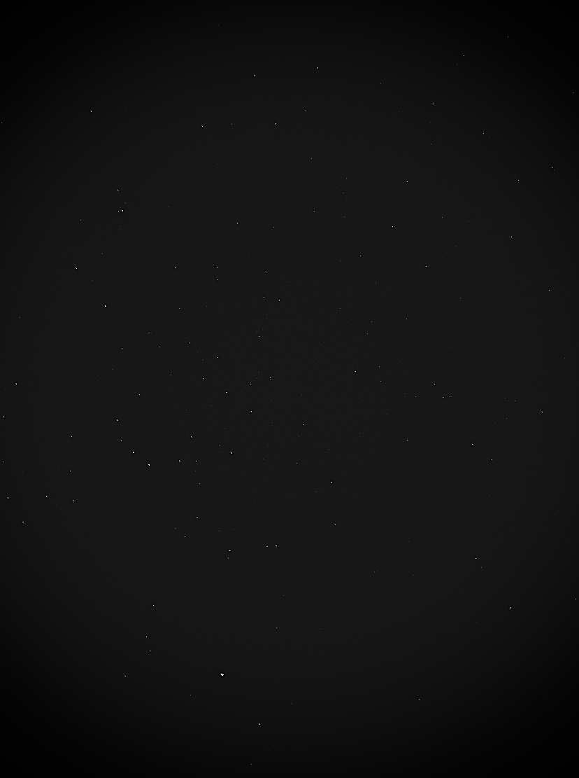 مهـرة 🛸 tweet media