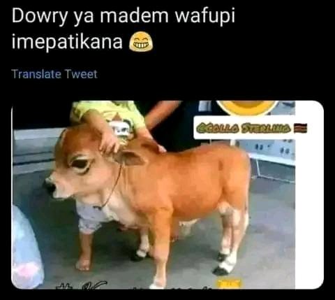 Finally dowry for short girls has being found 🥰😘🤗🤗