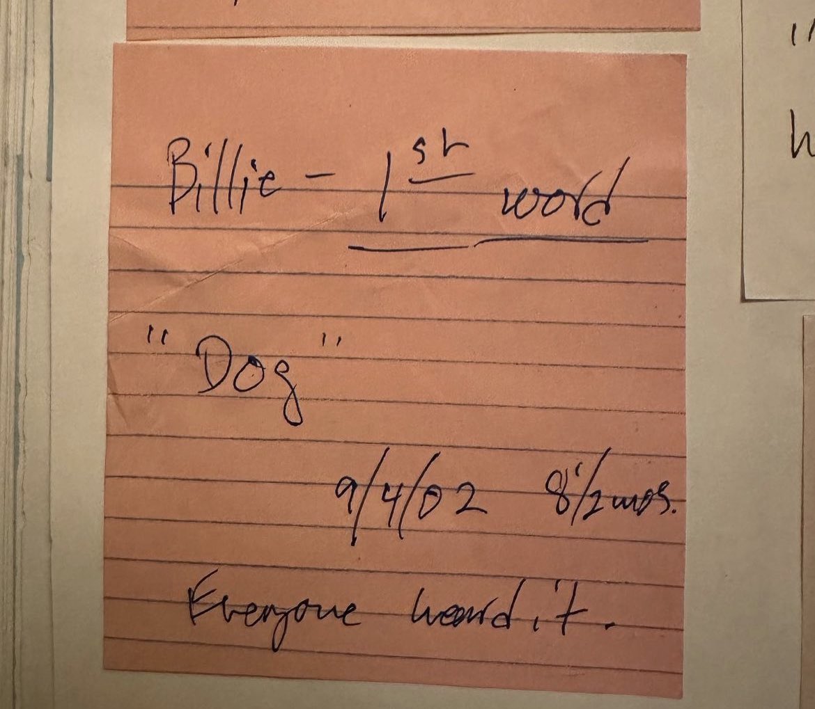 h4ppiereilish's tweet photo. el 4 de septiembre de 2002 billie dijo su primera palabra… perro🥺 https://t.co/gPStGwjian