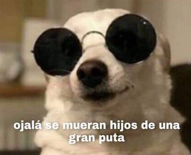 Jenny_Lunna's tweet photo. Me pone realmente muy violenta entrar a un lugar, saludar educadamente con un buen día, buenas tardes y QUE NADIE ME RESPONDA https://t.co/lX9yTFhMqk