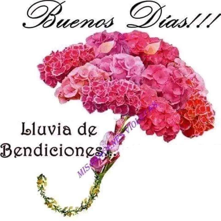 VeRoV_Q's tweet photo. Buenos días https://t.co/Nd37af8MD2