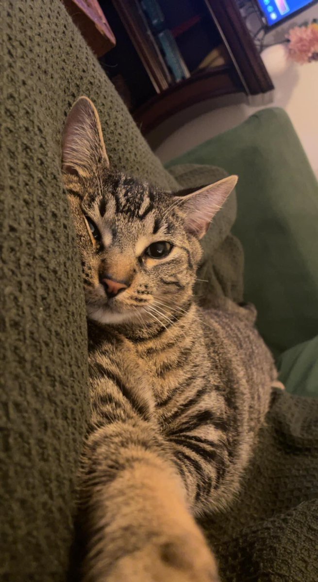 sealul8tr's tweet photo. From one animal to another. Happy National Pet Day! https://t.co/qVsokm3HQZ