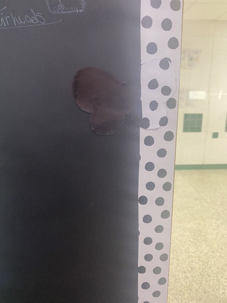 Skylar Popiel tweet media