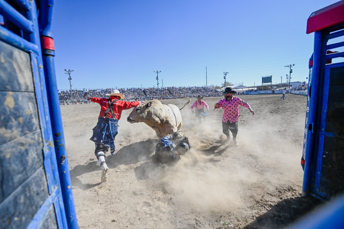 ClickThompson's tweet image. Oakdale Clovers #clickthompsonphotography