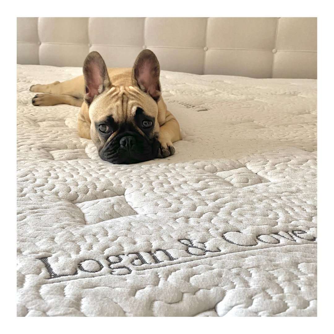 Us realizing there are still four more days until the weekend...😔

We want to hear what you're looking forward to doing this weekend! Whether you're trying something new or scheduling in a hard-earned nap, let us know below. 👇