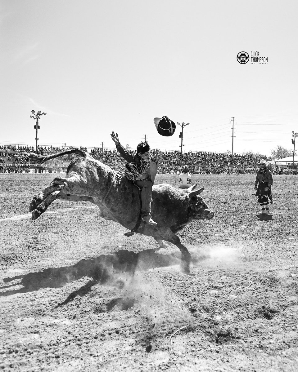 ClickThompson's tweet image. Last Spur #clickthompsonphotography