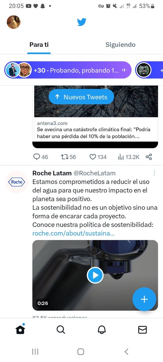 El Pasteloso tweet media