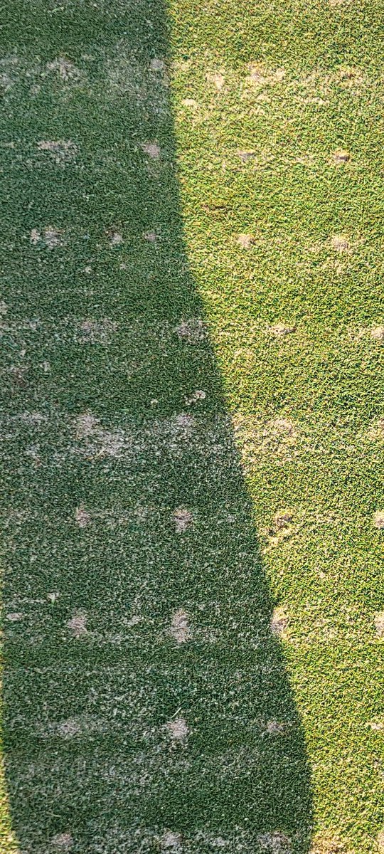 Scott Countryman tweet media