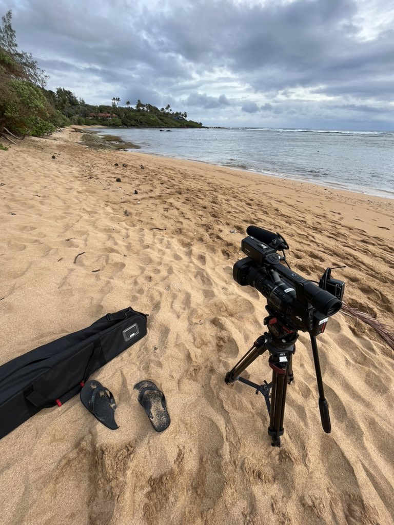 DillonAncheta's tweet image. How are the 2022 Merrie Monarch champions preparing for this year’s festival? Tune in to @HawaiiNewsNow tonight at 4 and 6 pm to watch their journey back to the stage🌺 #MerrieMonarch