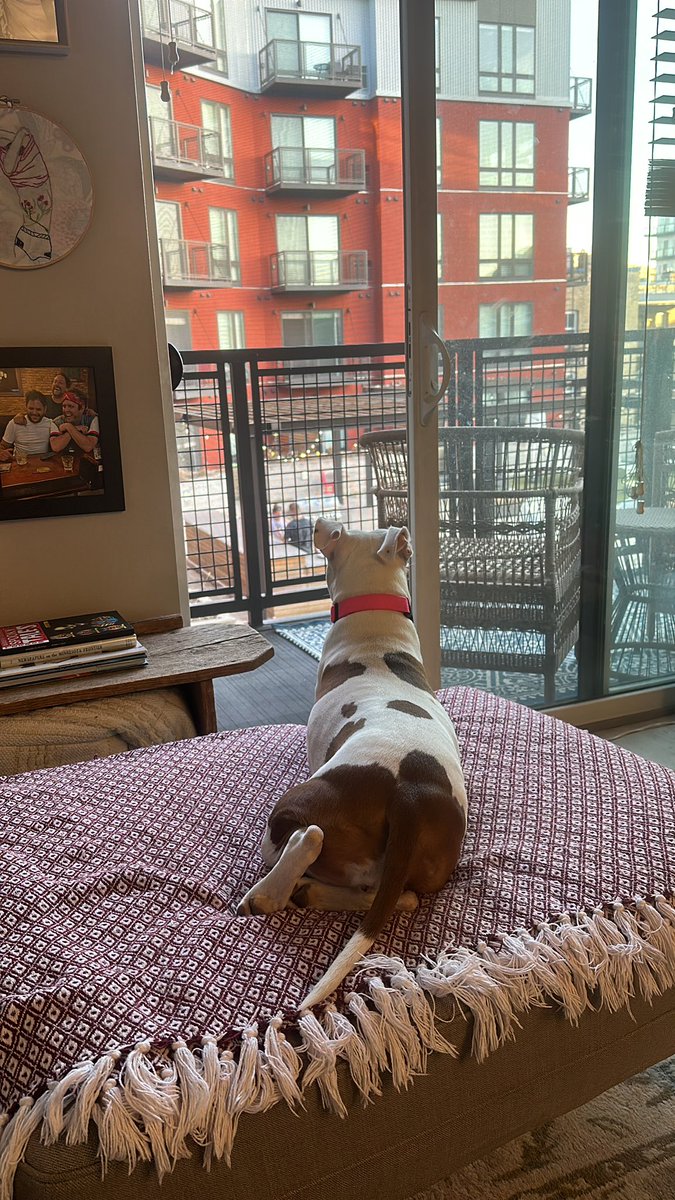 #GrillPatrol is reporting for duty, 2023 🫡