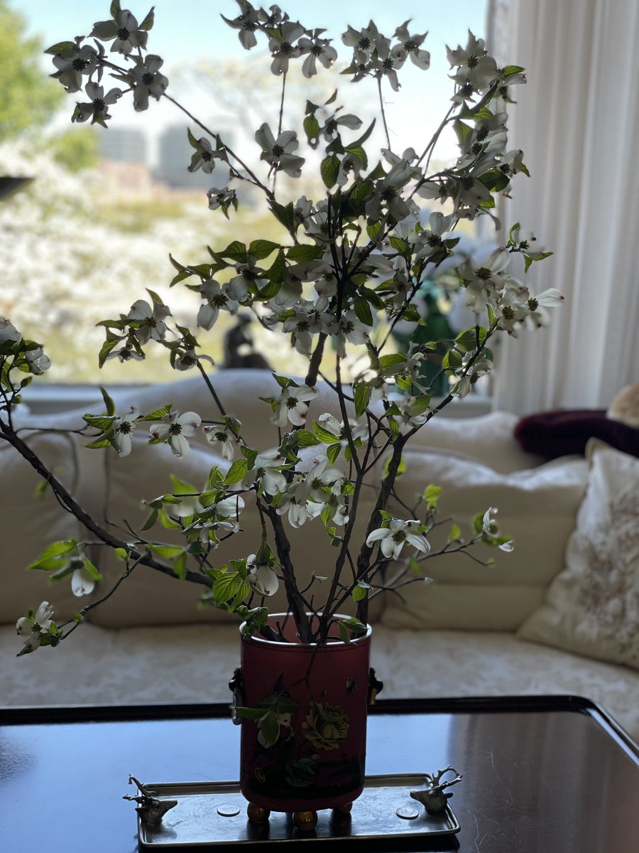 Amanda Werner Gomez tweet media