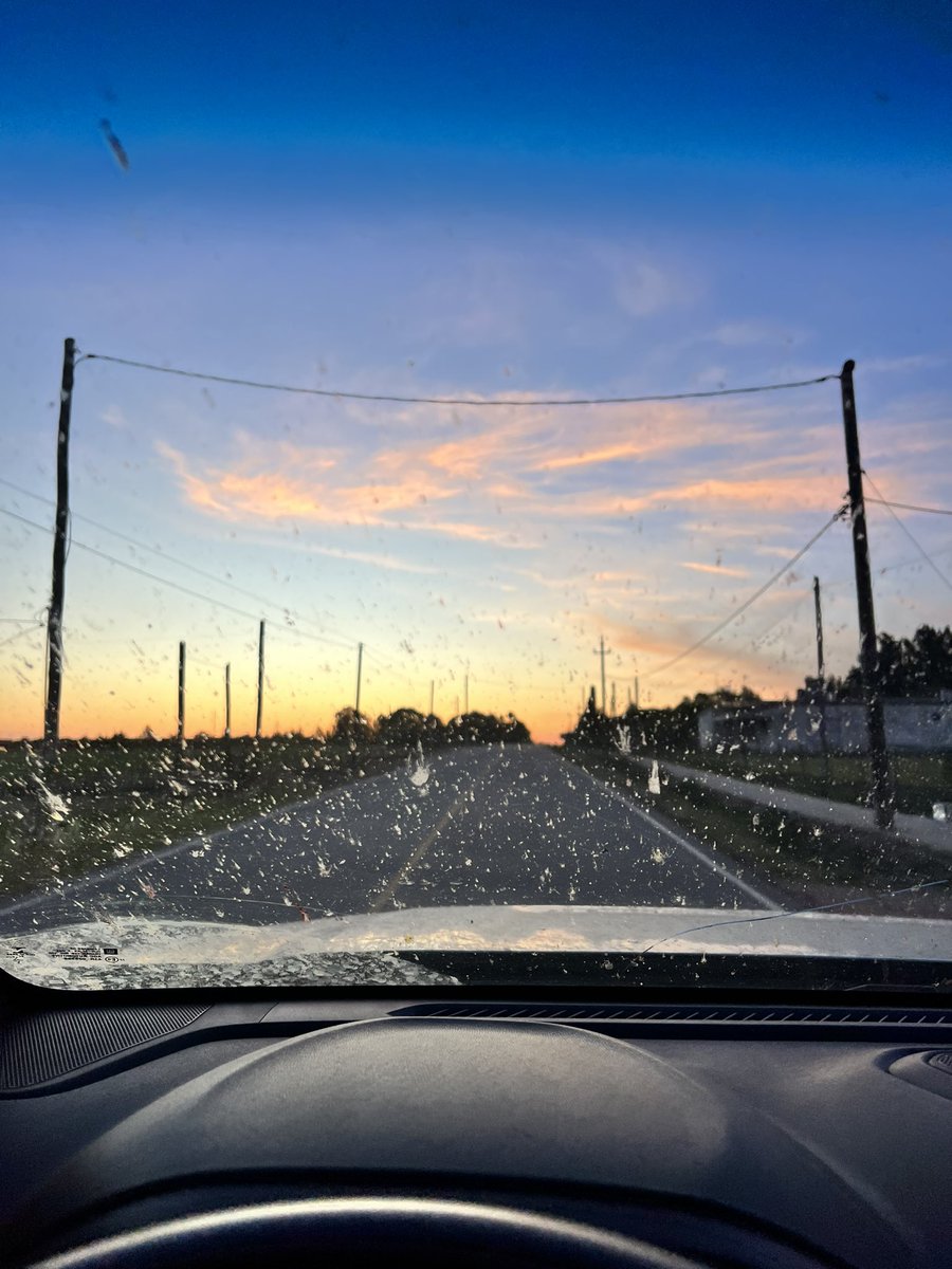 Y el otro día alguien acá decía que no había más bichos culpa de los “agrotóxicos”…