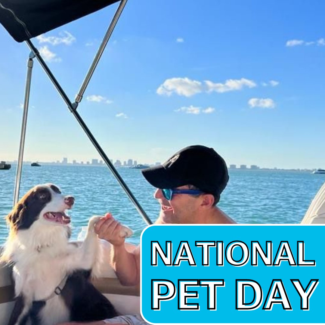 Laercioabq's tweet photo. In this #NationalPetDay 🐾, saludos to my best friend Tobias. Thank you for your unconditional love and loyalty.
#CiscoPets #LoveWhereYouWork #WeAreCisco
@WeAreCisco https://t.co/NMQutzikUp