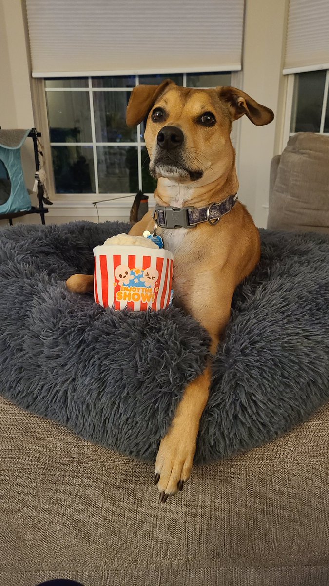 Erika Danish tweet media