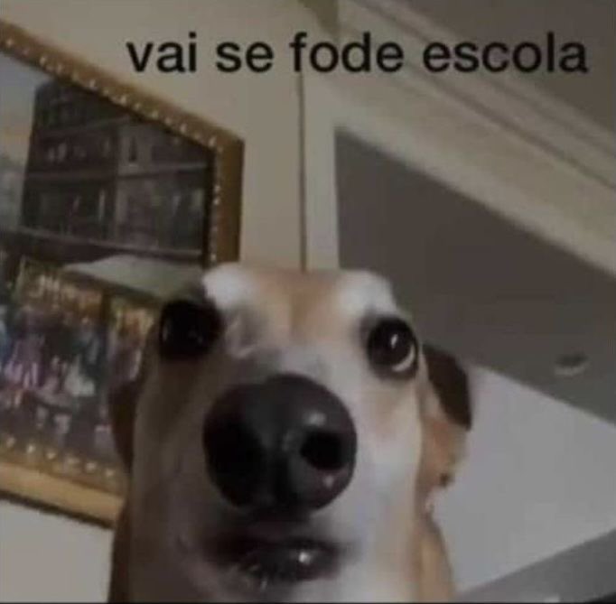 pereirinha 🥷🏻 (@pereirajh_) on Twitter photo 